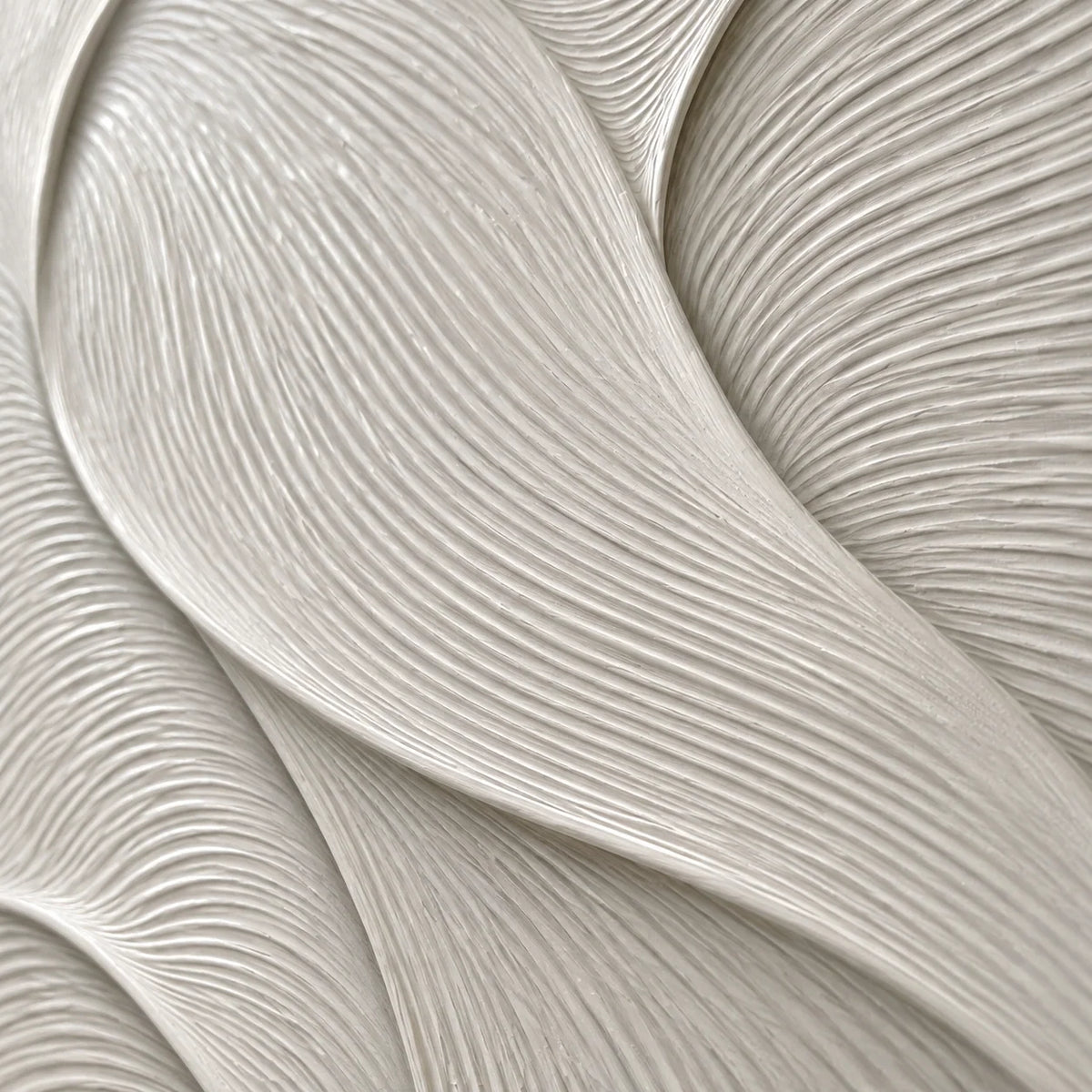 Ivory-Undulation