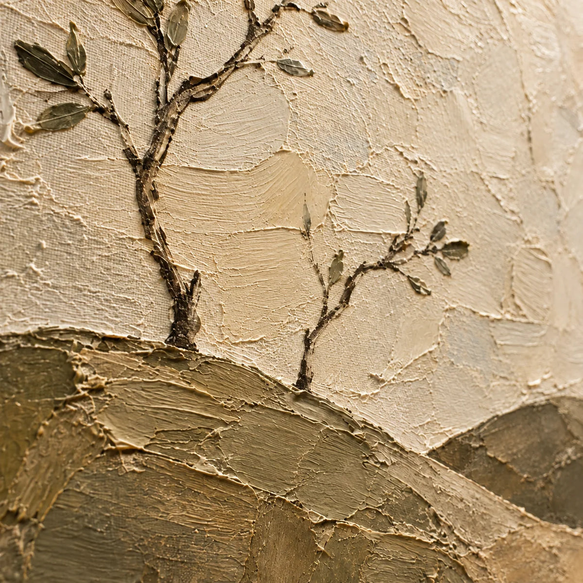 Olive-Contour